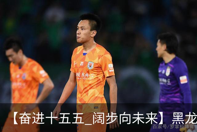 【奋进十五五 阔步向未来】黑龙江农机产业正加速迈向高端化智能化绿色化